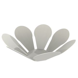 OXALIS PORTA FRUTTA LUCIDO