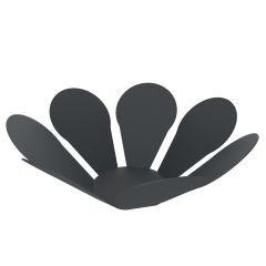 OXALIS PORTAFRUTAS  MATE