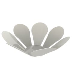 OXALIS PORTAFRUTAS BRILLO